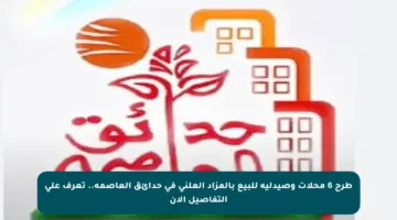 طرح 6 محلات وصيدلية للبيع بالمزاد العلني في حدائق العاصمة.. تعرف على التفاصيل الآن